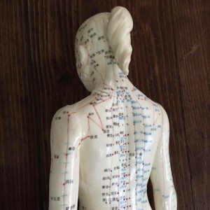 this shows a model of a woman with the acupuncture meridians or channels diagrammed on her back and head